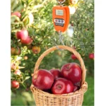 Hanging Weight Scale,200kg/440lbs Digital - Image 12