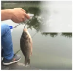 Portable Scale Digital LCD Display 110lb/50kg - Image 16