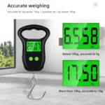 Portable Hand Held Digital Luggage Scale 50Kg - Image 4